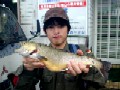 p04101102p.jpg (41122 oCg)