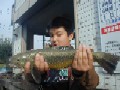 p05112604.jpg (384k oCg)