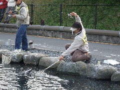 クリックすると大きな画像が開きます p07040706.jpg (344kb)