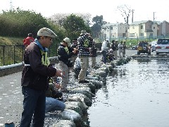 クリックすると大きな画像が開きます p07040732.jpg (287kb)