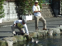 クリックすると大きな画像が開きます p07042144.jpg (158kb)