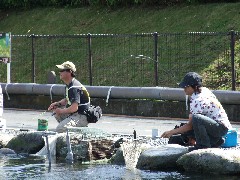 クリックすると大きな画像が開きます p07042125p.jpg (186kb)