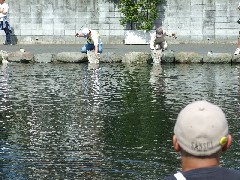 クリックすると大きな画像が開きます p07042135.jpg(142kb)