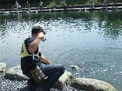 クリックすると大きな画像が開きます p07042137.jpg (181kb)
