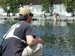 クリックすると大きな画像が開きます p07042147p.jpg (210kb)