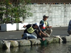 クリックすると大きな画像が開きます p07061602p.jpg (154kb)