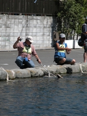 クリックすると大きな画像が開きます p07042144.jpg (421kb)