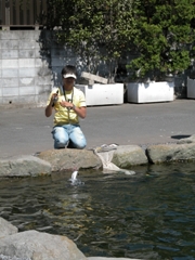 p07061607p.jpg (47390 バイト)