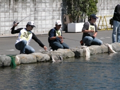 クリックすると大きな画像が開きます p07042124.jpg (429kb)