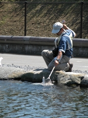 p07061617p.jpg (50713 バイト)