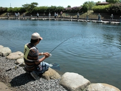 p07061623p.jpg (48279 バイト)