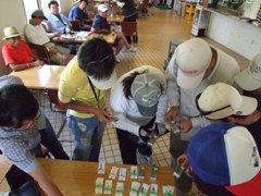 p07061632p.jpg (18115 バイト)