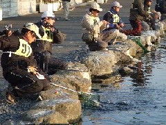 クリックすると大きな画像が開きます p07021703.jpg (502kb)