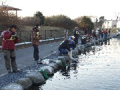 クリックすると大きな画像が開きます p07021705.jpg (434kb)