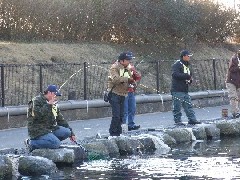 クリックすると大きな画像が開きます p07021706.jpg (536kb)