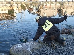 クリックすると大きな画像が開きます p07021707.jpg (505kb)