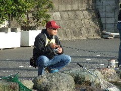 NbNƑ傫ȉ摜J܂  p07042124.jpg (167kb)