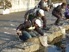 クリックすると大きな画像が開きます p07031004.jpg (550kb)
