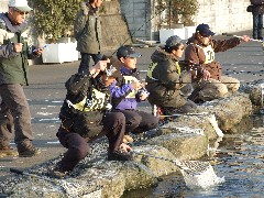 クリックすると大きな画像が開きます p07031005.jpg (553kb)