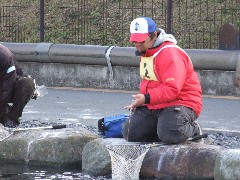 クリックすると大きな画像が開きます p07031007.jpg (452kb)