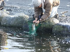クリックすると大きな画像が開きます p07031009.jpg (510kb)