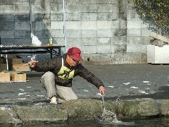クリックすると大きな画像が開きます p07031011.jpg (492kb)