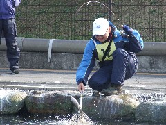 p07031012p.jpg (471kb)