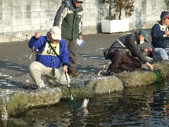 クリックすると大きな画像が開きます p07031017.jpg (515kb)