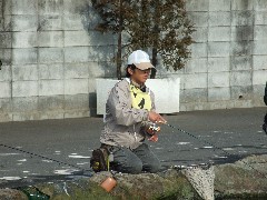 クリックすると大きな画像が開きます p07031018p.jpg (393kb)