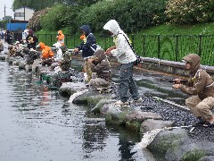 クリックすると大きな画像が開きます p07071401 003.jpg (215kb)