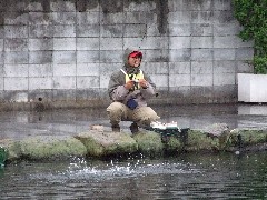クリックすると大きな画像が開きます p07071401 007.jpg (515kb)