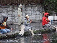 p07071401 016p.jpg (22938 バイト)