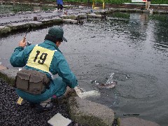 p07071401 033p.jpg (21679 バイト)