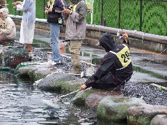 クリックすると大きな画像が開きます p07071401 051.jpg (206kb)