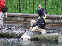 p07071401 056p.jpg (25660 バイト)