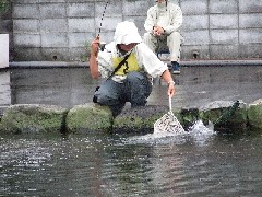 クリックすると大きな画像が開きます p07071401 065p.jpg (190kb)