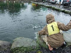 クリックすると大きな画像が開きます p07071401 095.jpg (187kb)