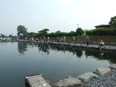 �N���b�N����Ƒ傫�ȉ摜���J���܂�