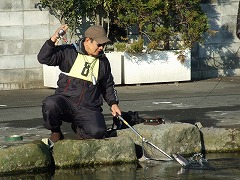 p08122001 223p.jpg (24694 �o�C�g)