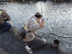 クリックすると大きな画像が開きます