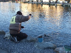 p08021601 013p.jpg (21669 バイト)