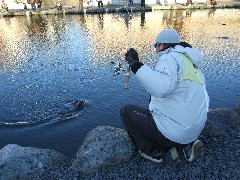 p08021601 040p.jpg (22556 バイト)