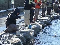 p08021601 054p.jpg (25988 バイト)
