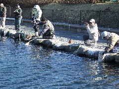 クリックすると大きな画像が開きます