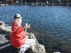 p08021601 074p.jpg (25136 バイト)