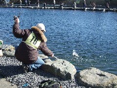 クリックすると大きな画像が開きます