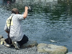 �N���b�N����Ƒ傫�ȉ摜���J���܂�