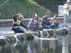 p08092701 156p.jpg (26042 �o�C�g)