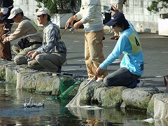 p08092701 192p.jpg (27638 �o�C�g)