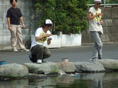 p08070501 339p.jpg (17564 �o�C�g)